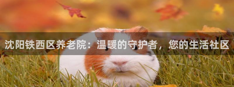 韦德国际1946官网