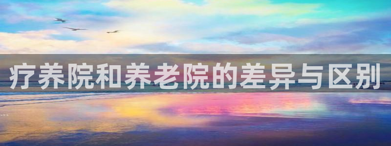 韦德观战总决赛G3