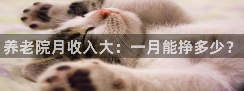 韦德网站官网