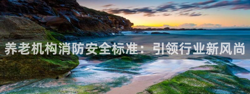 韦德观战总决赛G3