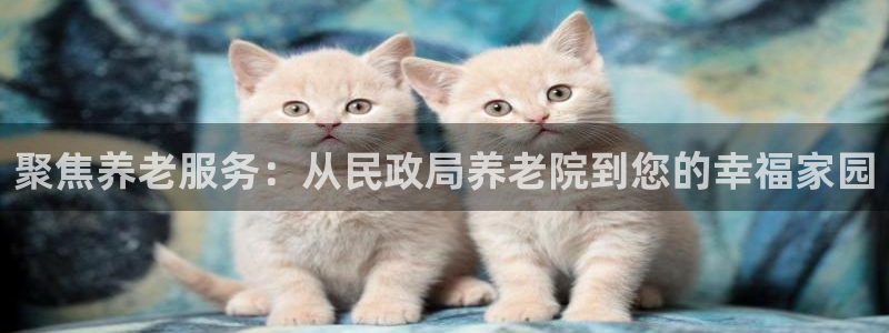 韦德1946源自英国