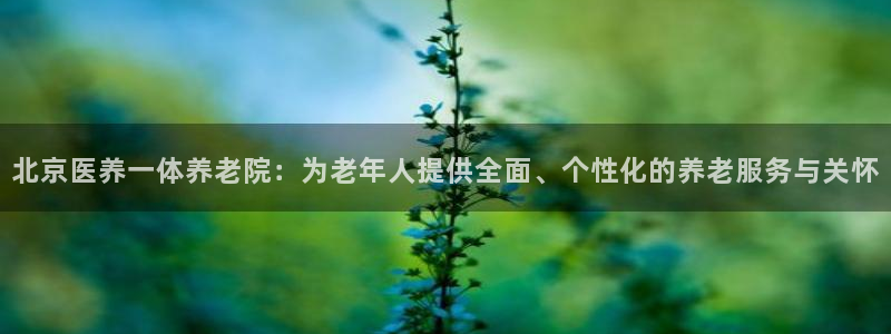 韦德1946手机网址