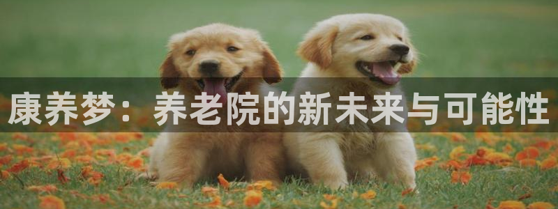 韦德1946客户端